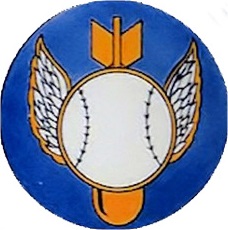 511th Squadron Patch
